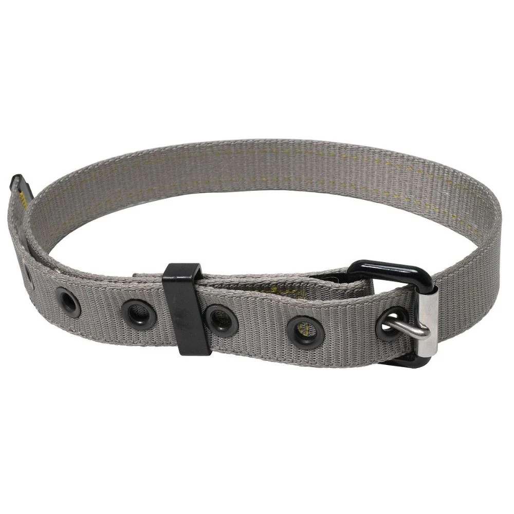 Werner M620002 ProForm Replacement Belt Without Pad, M/L - Mactool Shop